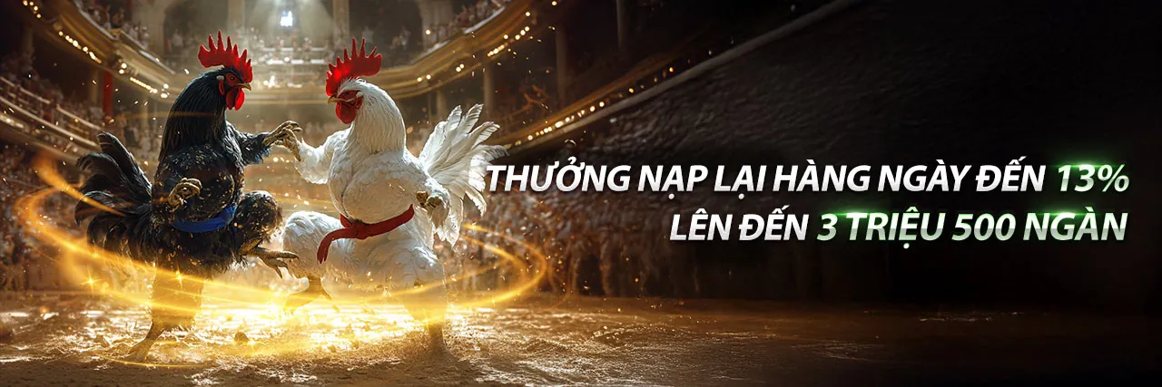 Hình ảnh đá gà trực tuyến trên betcom888 app